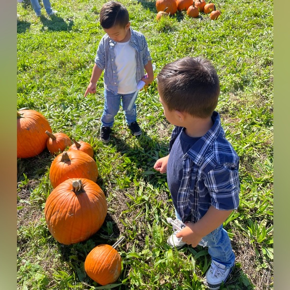 Meet your posher, Chris - Picture 3 of 4